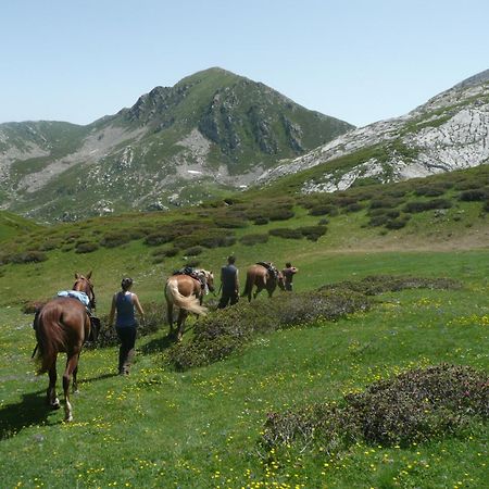 Roccaforte Mondovì Agriturismo Bio-Ecologico Sant'Isidoro מראה חיצוני תמונה