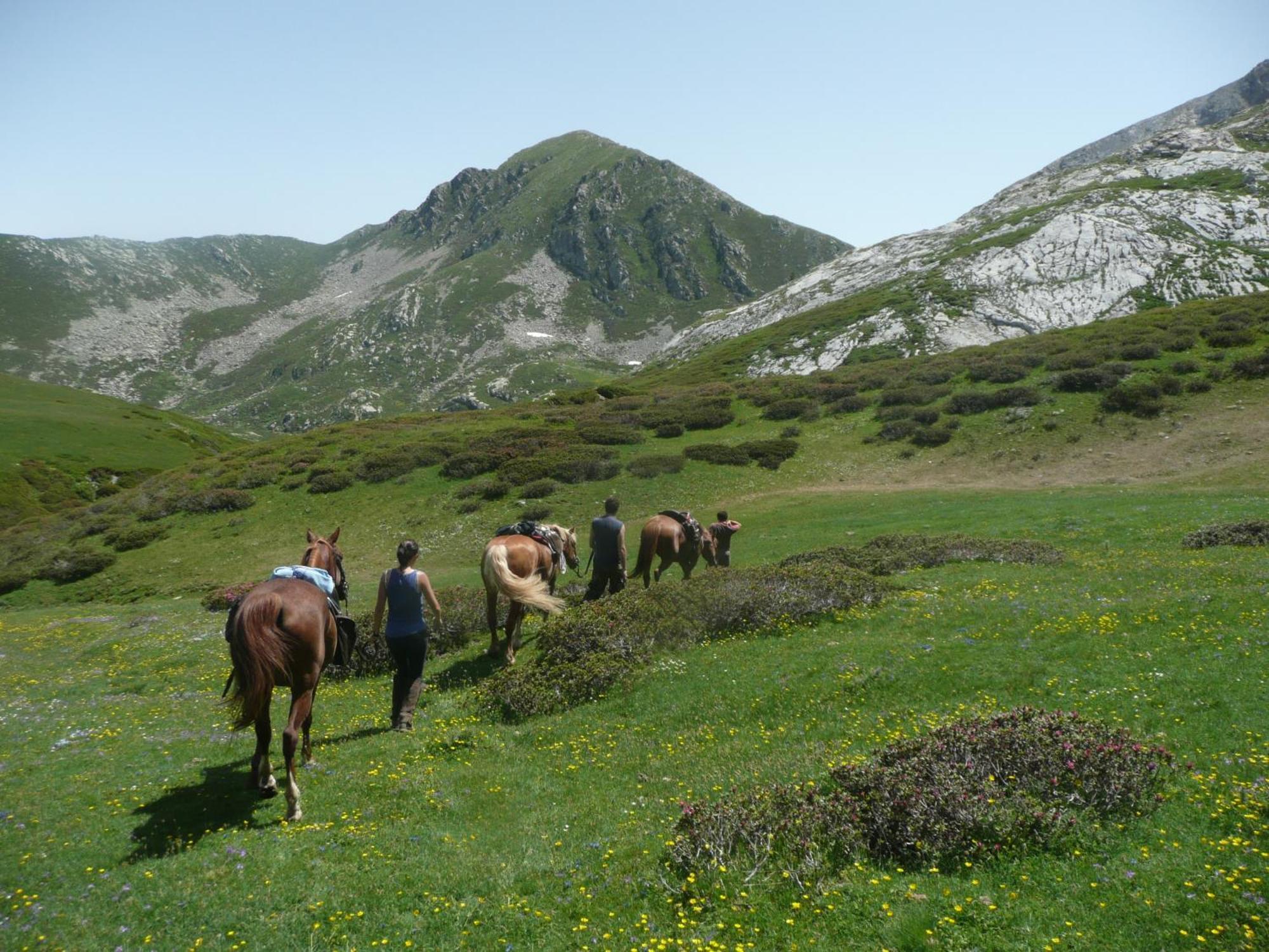 Roccaforte Mondovì Agriturismo Bio-Ecologico Sant'Isidoro מראה חיצוני תמונה