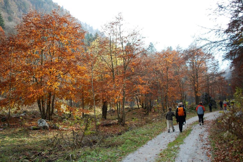 Roccaforte Mondovì Agriturismo Bio-Ecologico Sant'Isidoro מראה חיצוני תמונה