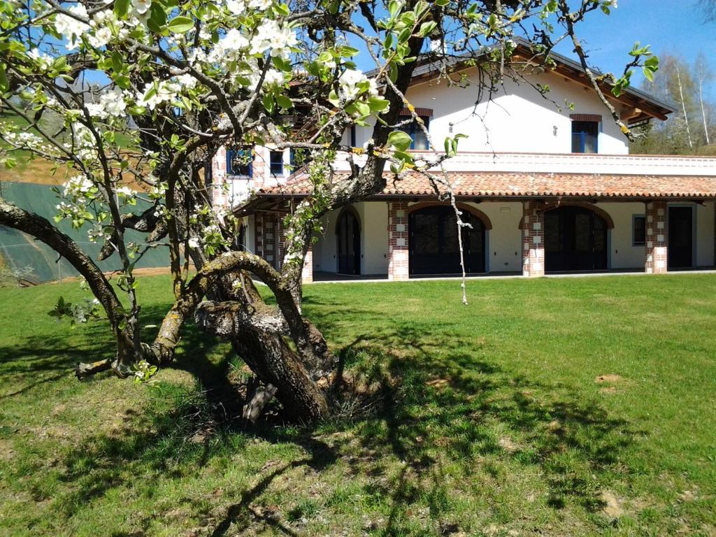 Roccaforte Mondovì Agriturismo Bio-Ecologico Sant'Isidoro מראה חיצוני תמונה