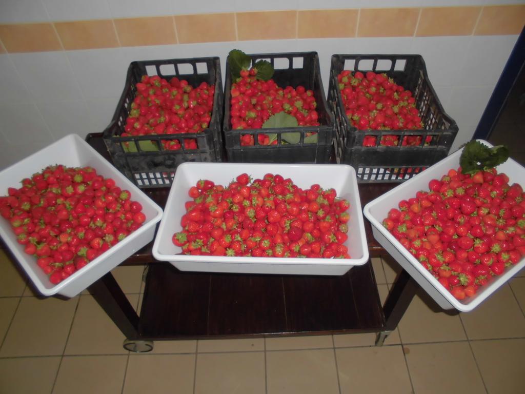 Roccaforte Mondovì Agriturismo Bio-Ecologico Sant'Isidoro מראה חיצוני תמונה