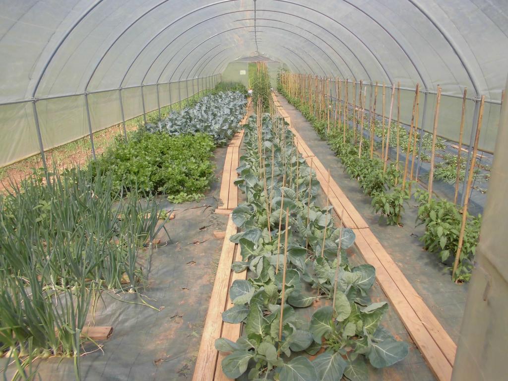 Roccaforte Mondovì Agriturismo Bio-Ecologico Sant'Isidoro מראה חיצוני תמונה